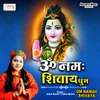 About Om Namah Shivay Song